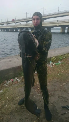 Объявление Виль