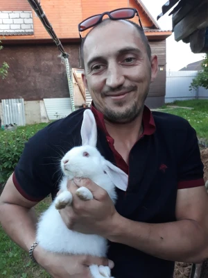 Анкета Роман