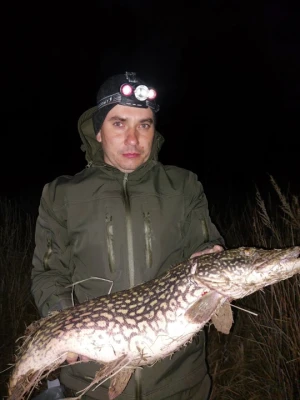 Анкета Илья
