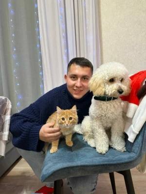 Объявление Герасим
