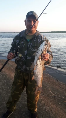 Анкета Яков