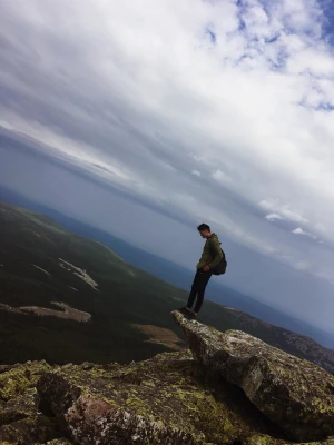 Анкета Нестор